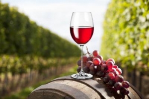 bulgarian wine, девета винена глуха и държавната баница